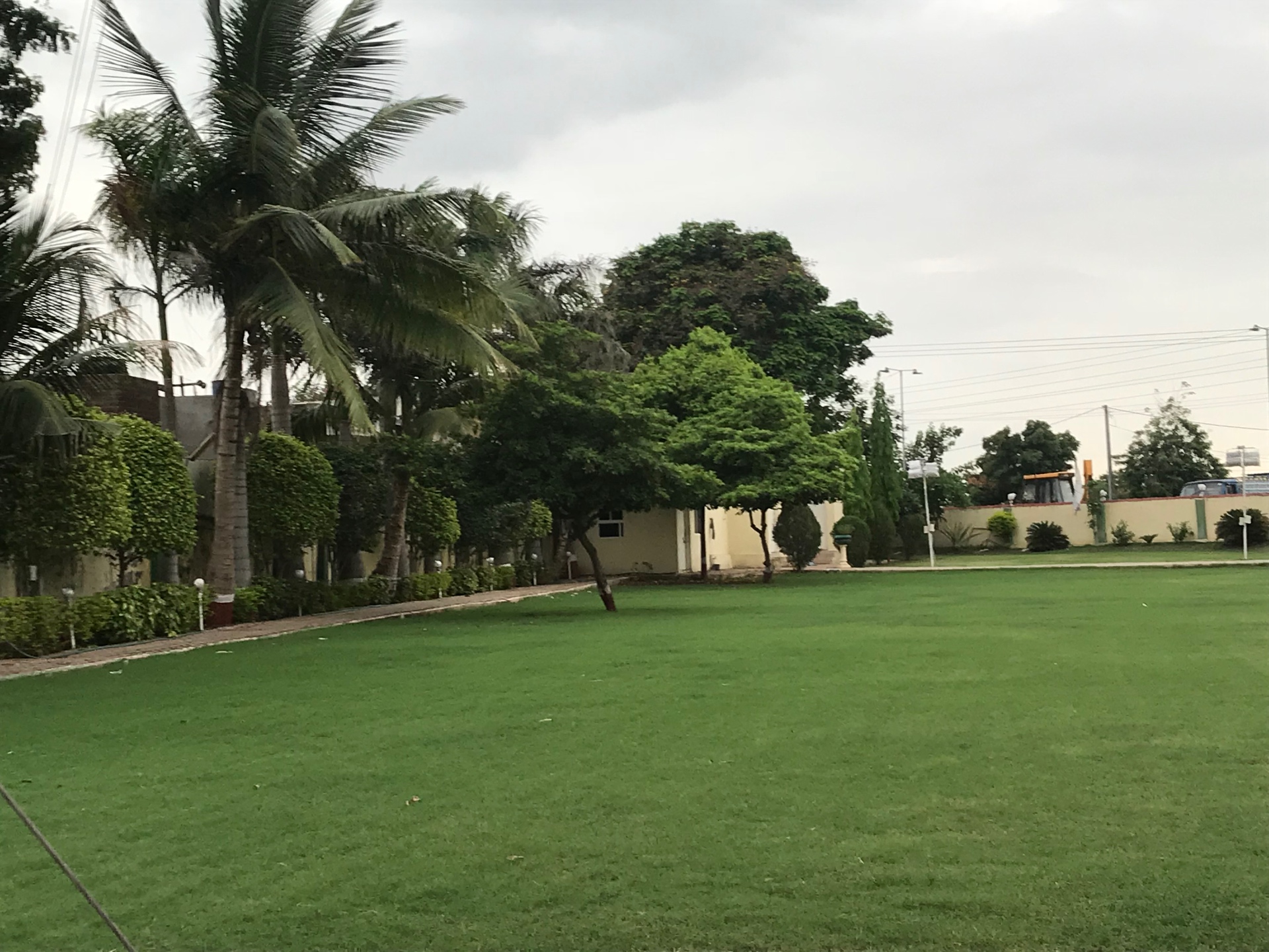 Palm-lined pathway at Mitthu Farm
