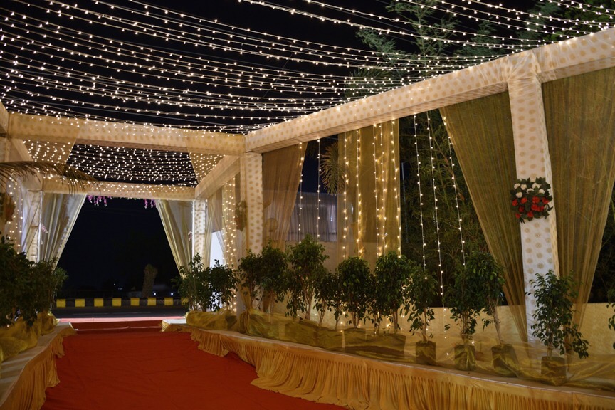 Mitthu Farm — manicured lawn lined with tall palms
